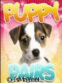 Puppy pairs